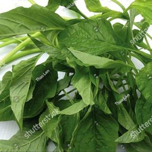 stock-photo-gimboa-or-jimboa-is-one-of-the-most-eaten-vegetables-present-in-angolan-cuisine-2324576143