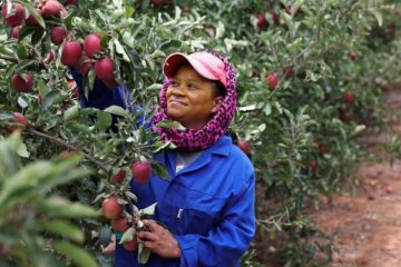 África do Sul aposta no crescimento agrícola e impulsiona confiança no futuro da agricultura africana